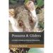 Possums & Gliders: a Guide to Keeping Arboreal Marsupials