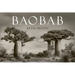 Baobab