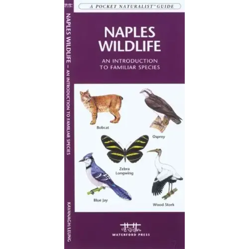 Tampa Bay Birds: A Folding Pocket Guide to Familiar Species