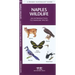 Tampa Bay Birds: A Folding Pocket Guide to Familiar Species