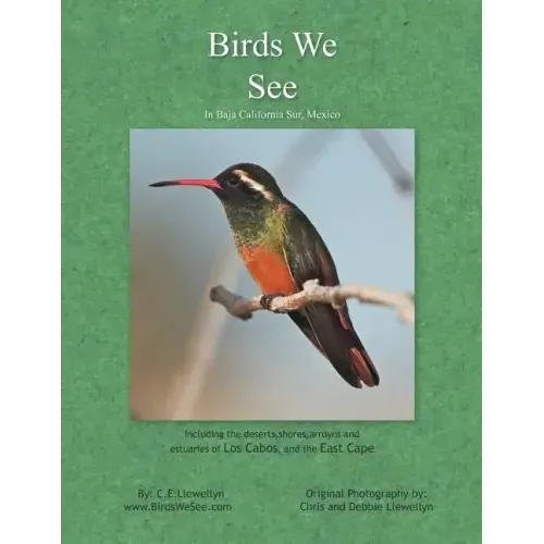 Birds We See