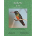 Birds We See