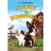 Horace & Bunwinkle