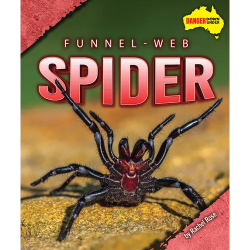 Funnel-Web Spider