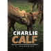 Charlie Calf
