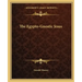 The Egypto-Gnostic Jesus