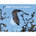 Bible Verses in Nature