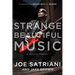 Strange Beautiful Music: A Musical Memoir
