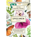 Specimen: Stories