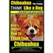 Chihuahua, Chihuahua Training AAA AKC Think Like a Dog - But Don't Eat Your Po: Here's EXACTLY How To Train Your Chihuahua