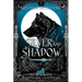 Silver and Shadow: The First Book of the Dark Goddess