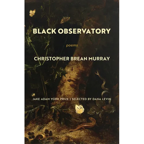 Black Observatory: Poems