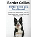 Border Collies. Border Collie Dog Care Manual. Border Collie Temperament, Pros and Cons, Health, Care, Training, Costs and Medical Concerns.