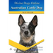 Australian Cattle Dogs: Divine Dogs Online