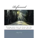 Refocused: Fixing your eyes on Jesus for the road ahead: single mom edition