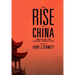 The Rise of China: Essays on the Future Competition