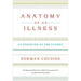 Anatomy of an Illness: As Perceived by the Patient