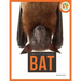 Bat