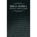 Biblia Hebrea: Naj (Neviim y Ketubim En Espanol) Volumen II