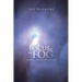 Focus in the Fog: Beams of Light from the Book of Job