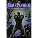 Black Panther: Panther's Rage