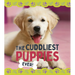 The Cuddliest Puppies