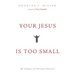 Your Jesus Is Too Small: The Collapse of Christian Character