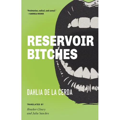 Reservoir Bitches: Stories