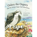 Oskey the Osprey and the Twins' Cape Cod Adventure
