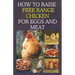How to Raise Free Range Chicken For Eggs and Meat: Free Range Chicken Farmin