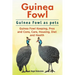 Guinea Fowl. Guinea Fowl as pets. Guinea Fowl Keeping, Pros and Cons, Care, Housing, Diet and Health.