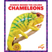 Chameleons