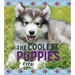 The Coolest Puppies