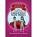 The Magic of the Enchanted Iron Mines