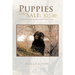 Puppies for Sale: $25.00 a Collection of the Best Dog Stories Ever