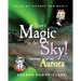 There's Magic in the Sky!: the story of the aurora