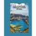 A Walking Guide through Cayman Islands: Cayman Islands Travel Guide 2023