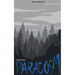 Into the Paracosm
