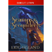 Scamps & Scoundrels: A LitRPG/GameLit Novel