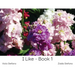 I Like - Book 1