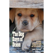 The Dog Days of Dixon: Incredible stories of love and healing in a rural New Mexico Rescue