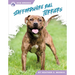 Staffordshire Bull Terriers