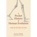 A Pocket History of Human Evolution: How We Became Sapiens