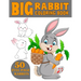 The Big Rabbit Coloring Book: Cute and Funny Coloring Book For Kids Who Like Coloring Rabbit