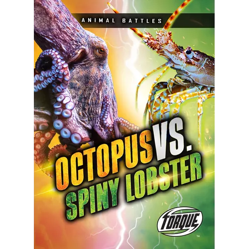 Octopus vs. Spiny Lobster
