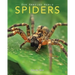 Spiders: Amazing Pictures & Fun Facts on Animals in Nature