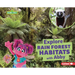 Explore Rain Forest Habitats with Abby