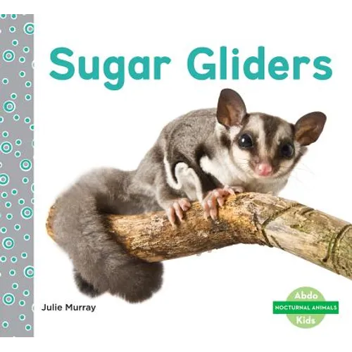Sugar Gliders
