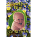 Positive Flow Childbirth
