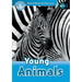 Oxford Read and Discover: Level 1: Young Animals